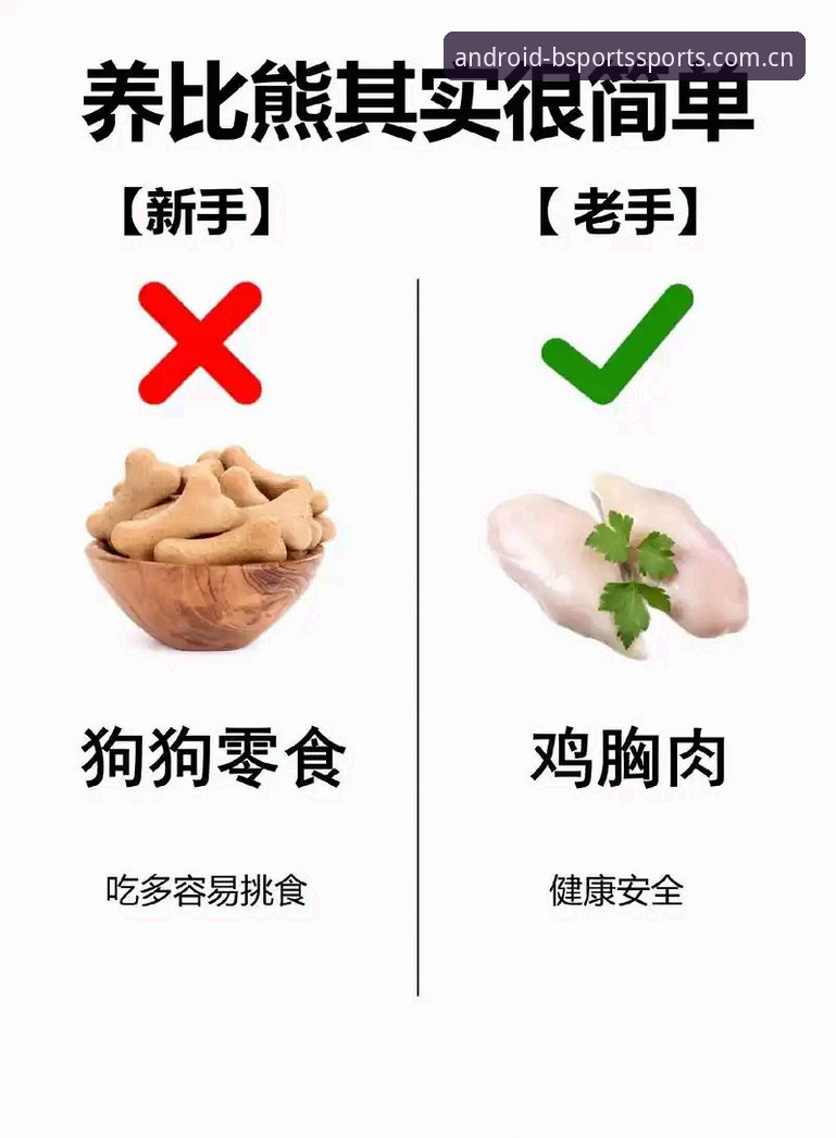 B体育官方平台服务推荐完整指南：新手到老手的使用心得